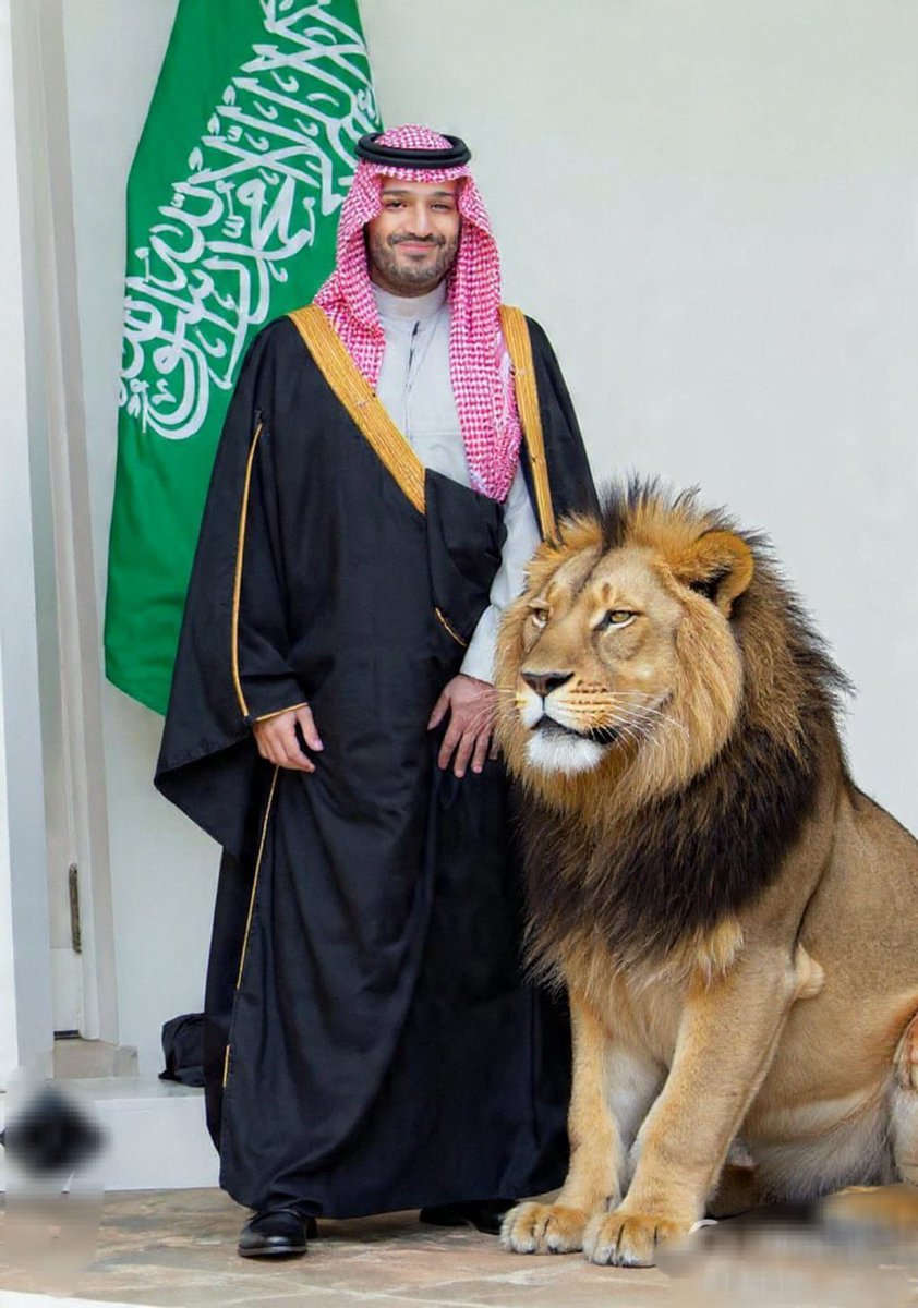 نوال الغامدي ⚔️🇸🇦🌴 tweet media