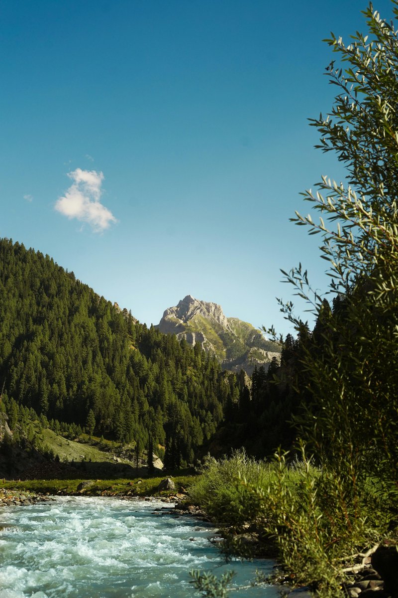 rumbo🔆 tweet media