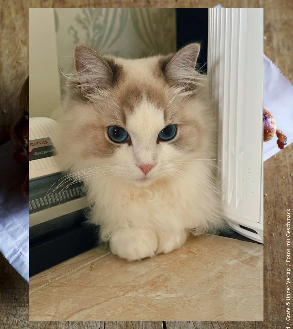 Michael Viswanathan tweet media