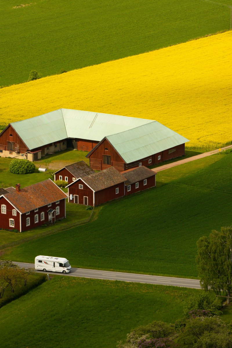 rumbo🔆 tweet media