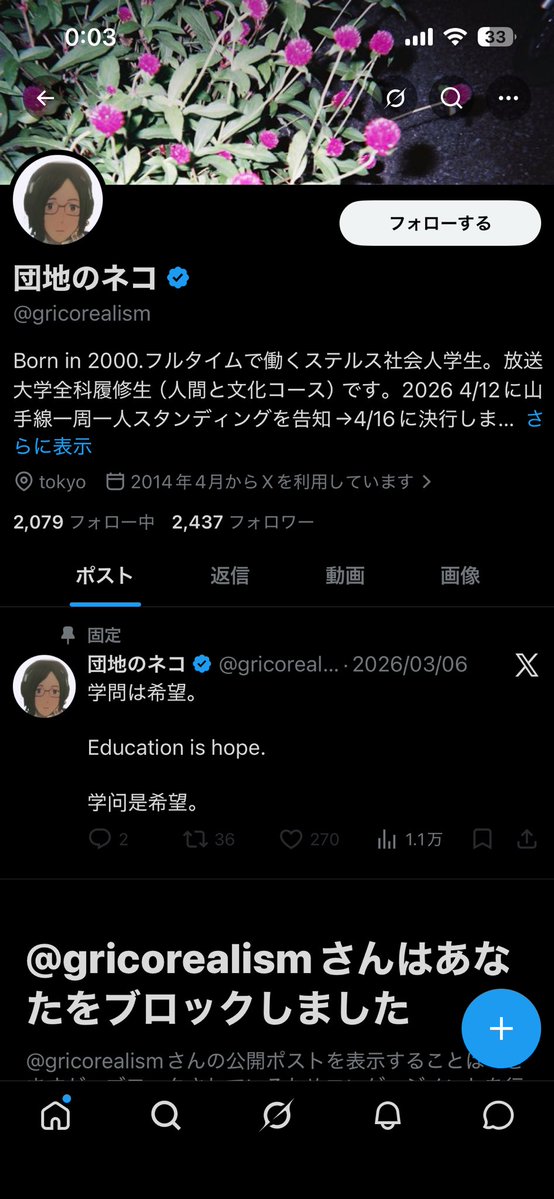 団地のイヌ tweet media