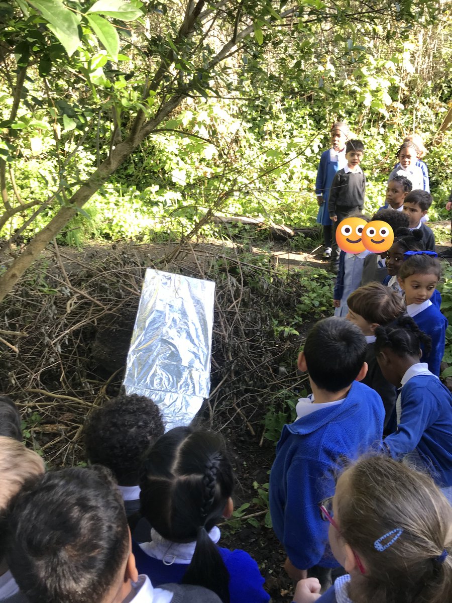 St Stephen's CPS tweet media