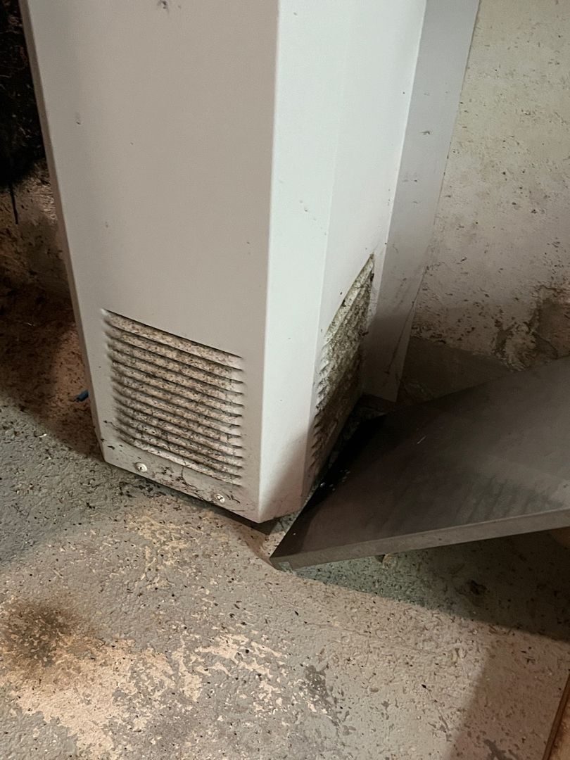 SMWesterly's tweet image. Humidity &amp;amp; poor ventilation can create a breeding ground for mold in your home or business. ServiceMaster By Mason are experts in mold inspection, cleaning &amp;amp; remediation, and advising on prevention methods. Call 800-934-5869 CT &amp;amp; RI. #mold #humidity #home #healthyliving