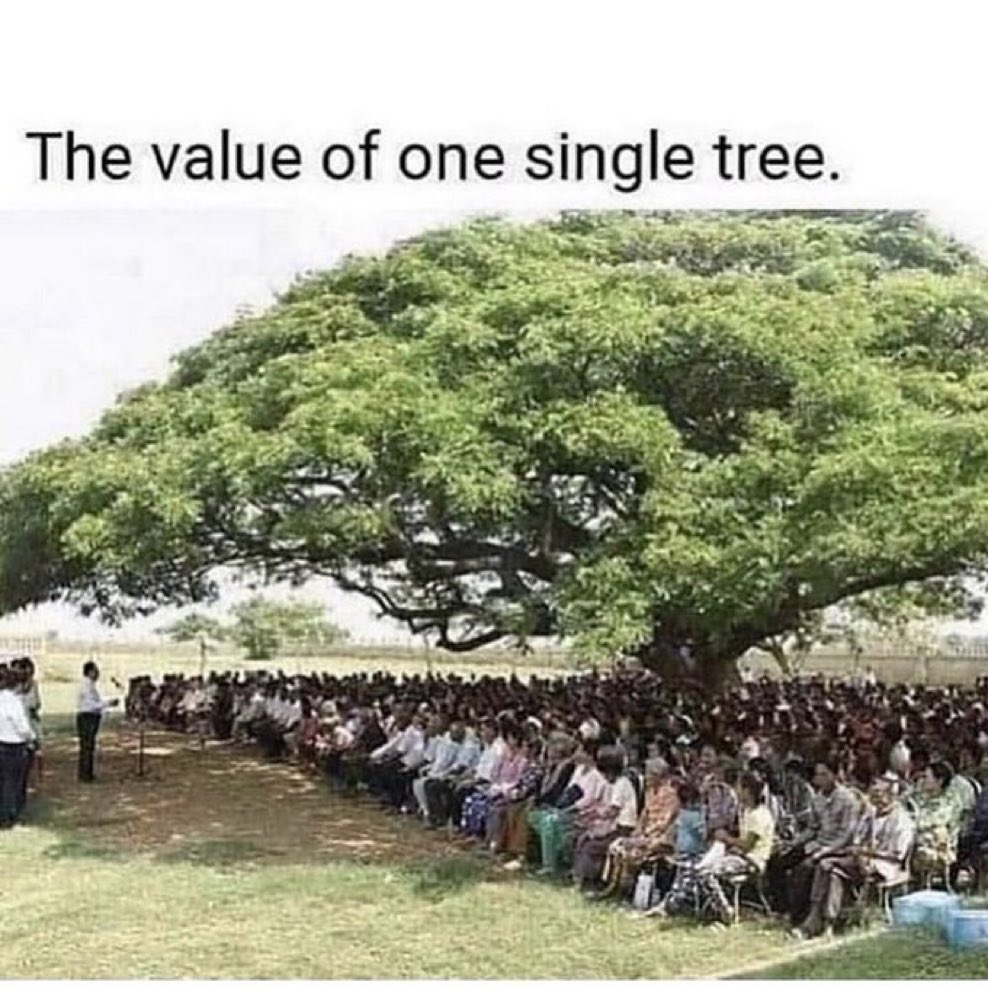 insprepositive's tweet image. The value of one single tree. 
Please see the picture. 

#SaveTree 
#PlantMoreTrees
#FridayThoughts 
#Tree