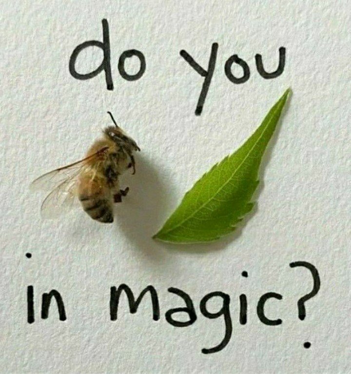 SharletSob71491's tweet image. #HigherPower #HP