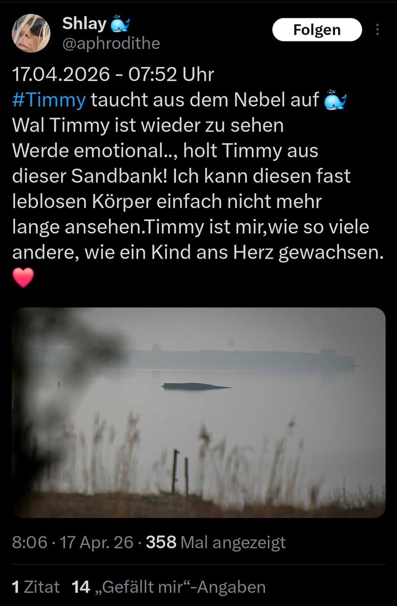 The_bastian tweet media