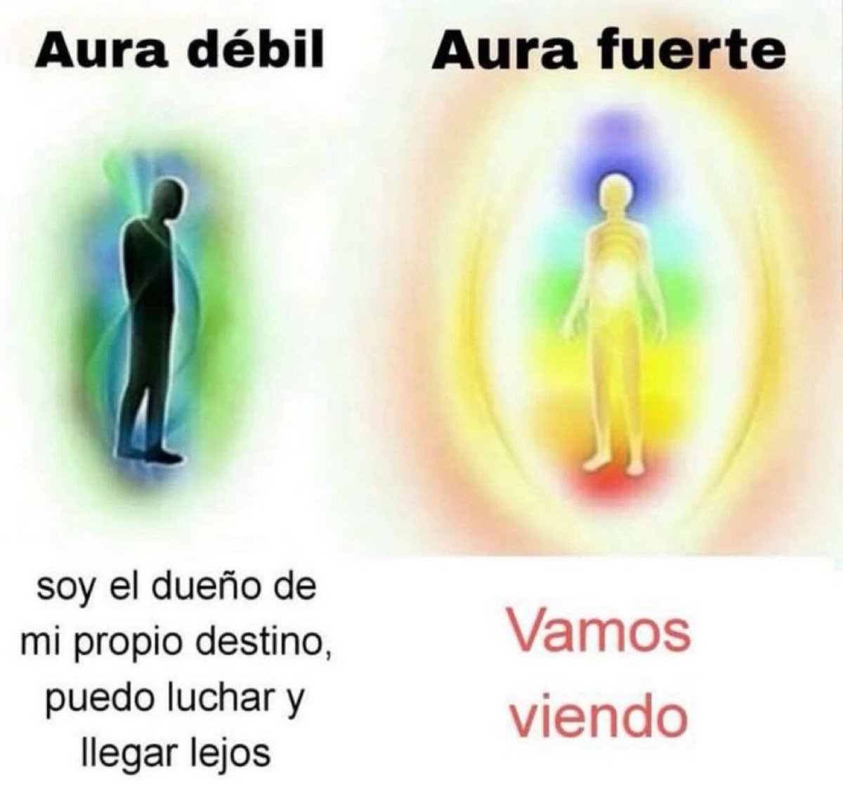 chincheto pirata somali tweet media