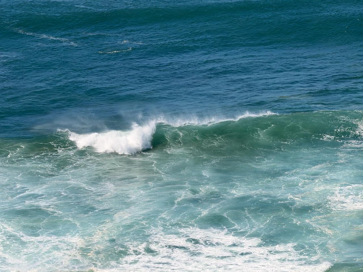 hellfish tweet media