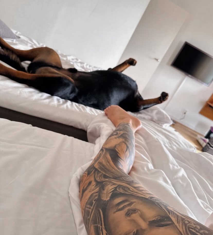 knottmegaqueen's tweet image. t.me/Knottybox
#doggo #explore #secret #zoophilia #k9 #dogknottinng ##animalcreulity