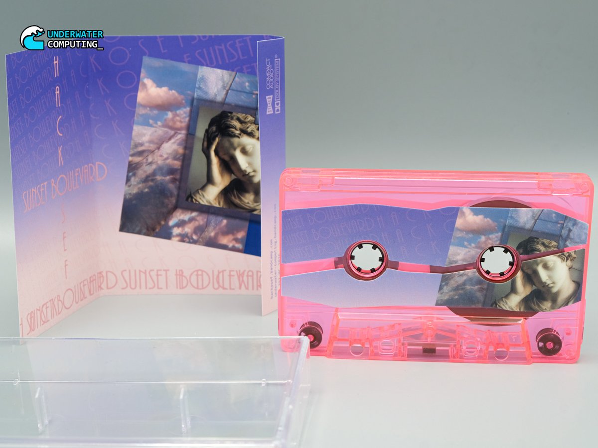 Underwater Computing_ 🌊 Compact Audio tweet media