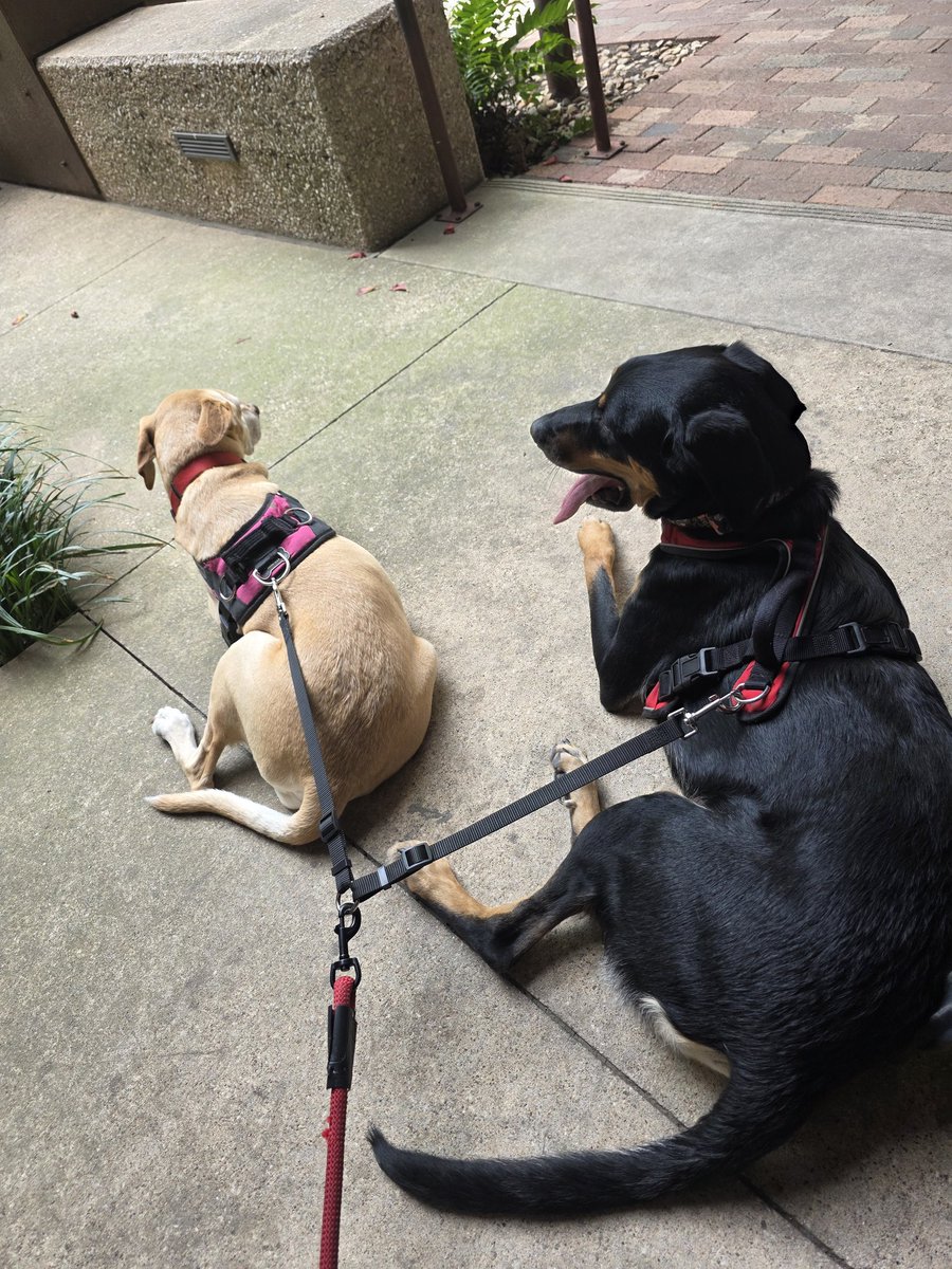 Paul Hill tweet media