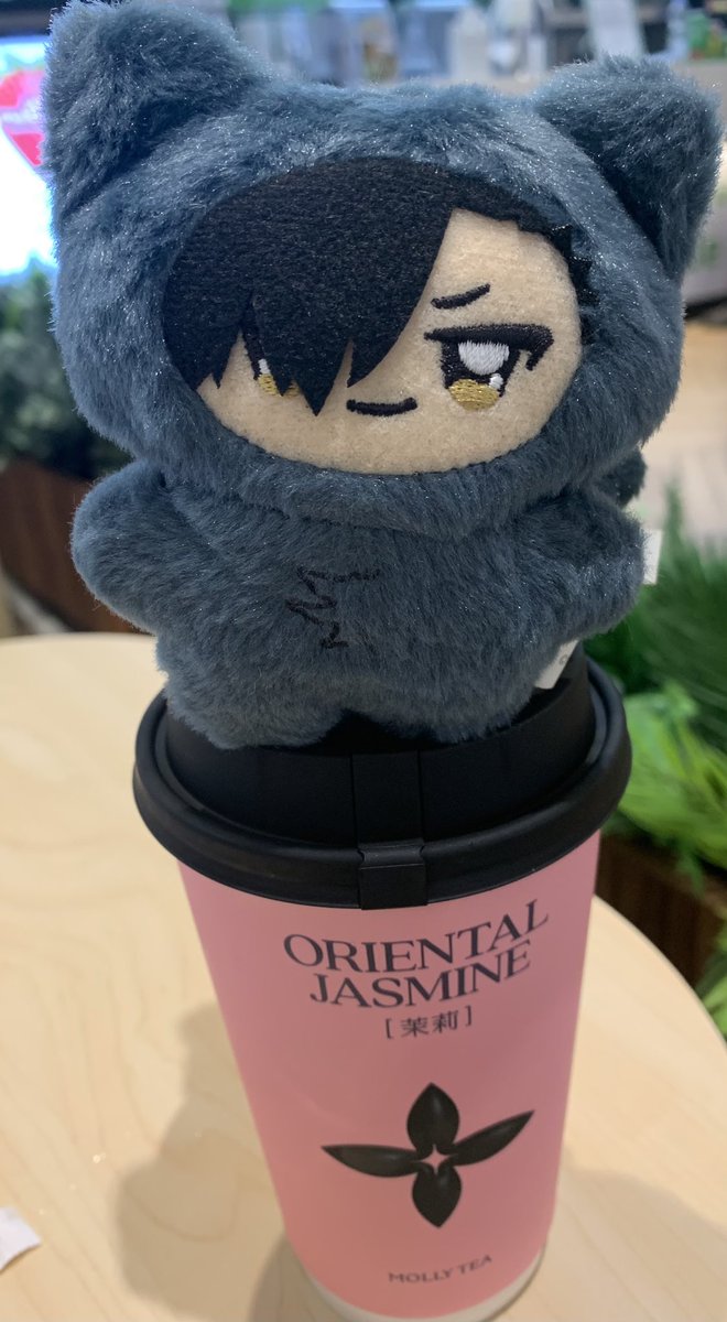 Nemenin bocil” nyoba molly tea 🤣. Diminum ya adek buka dinaikin 😪