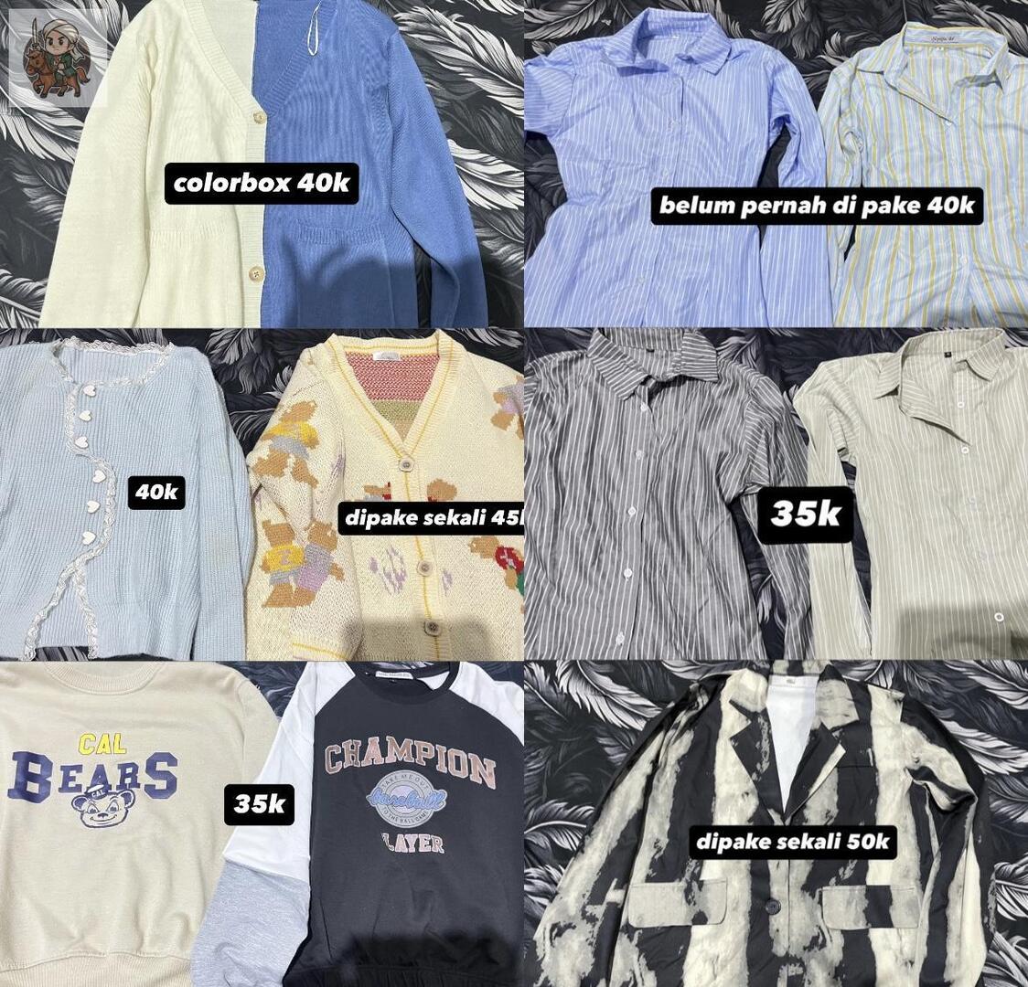 UNDIP MENFESS tweet media