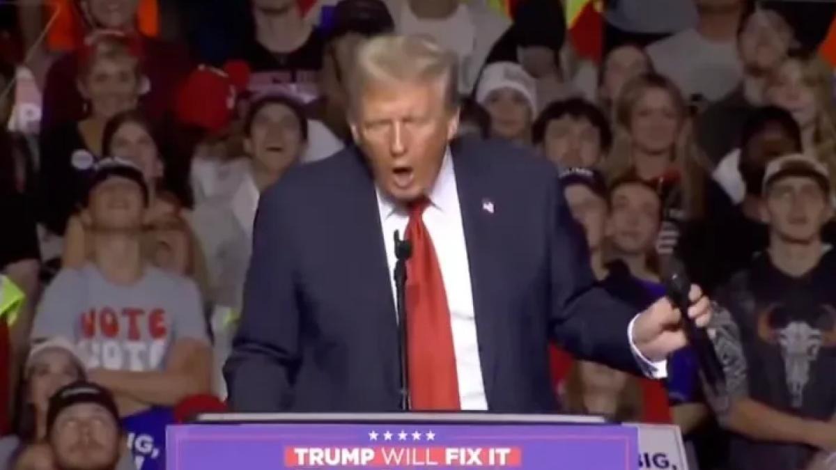 Democrats tweet media