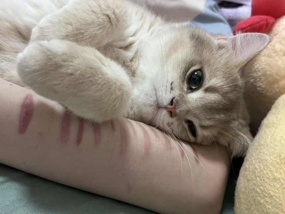 遺灰3.0 tweet media