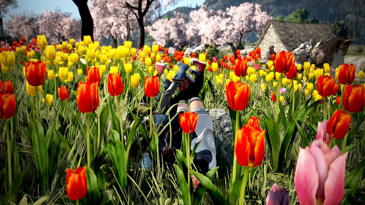 チューリップに混ざって咲く変わった形のお花たち。
たまに蹴ってくるから注意！

#黒い砂漠 #黒い砂漠PC