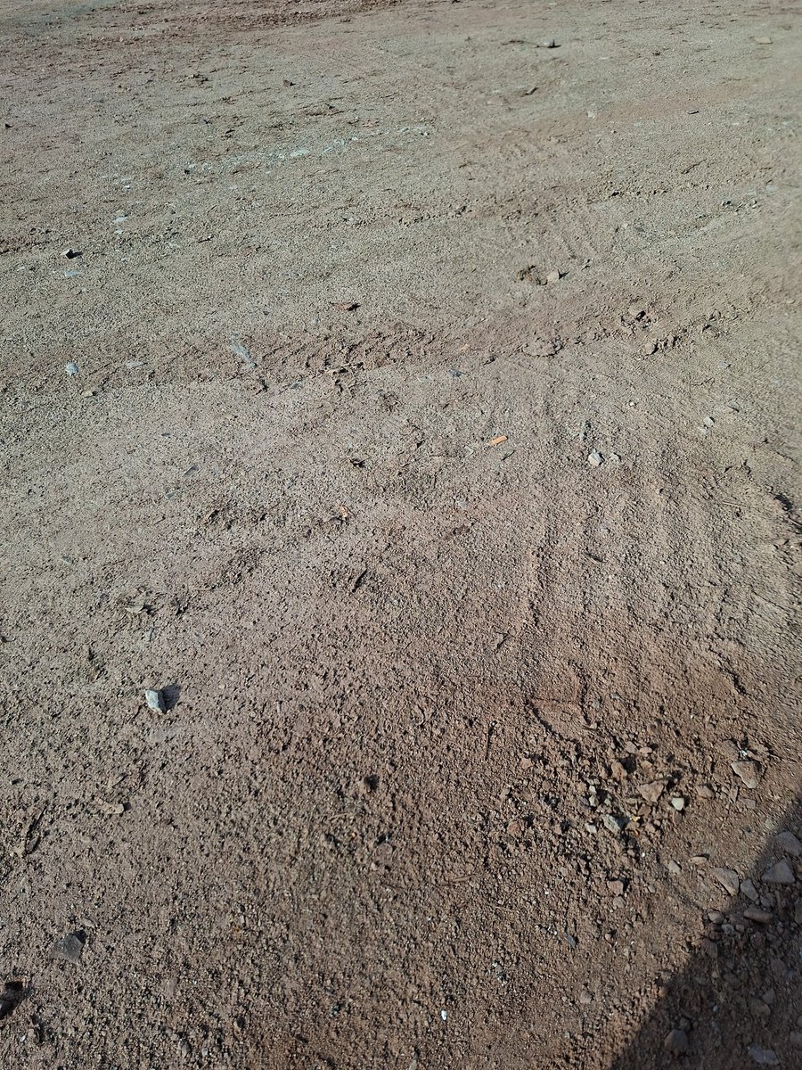 Dirk aus SLZ - Politik ist Konsens 💙💙💙 tweet media