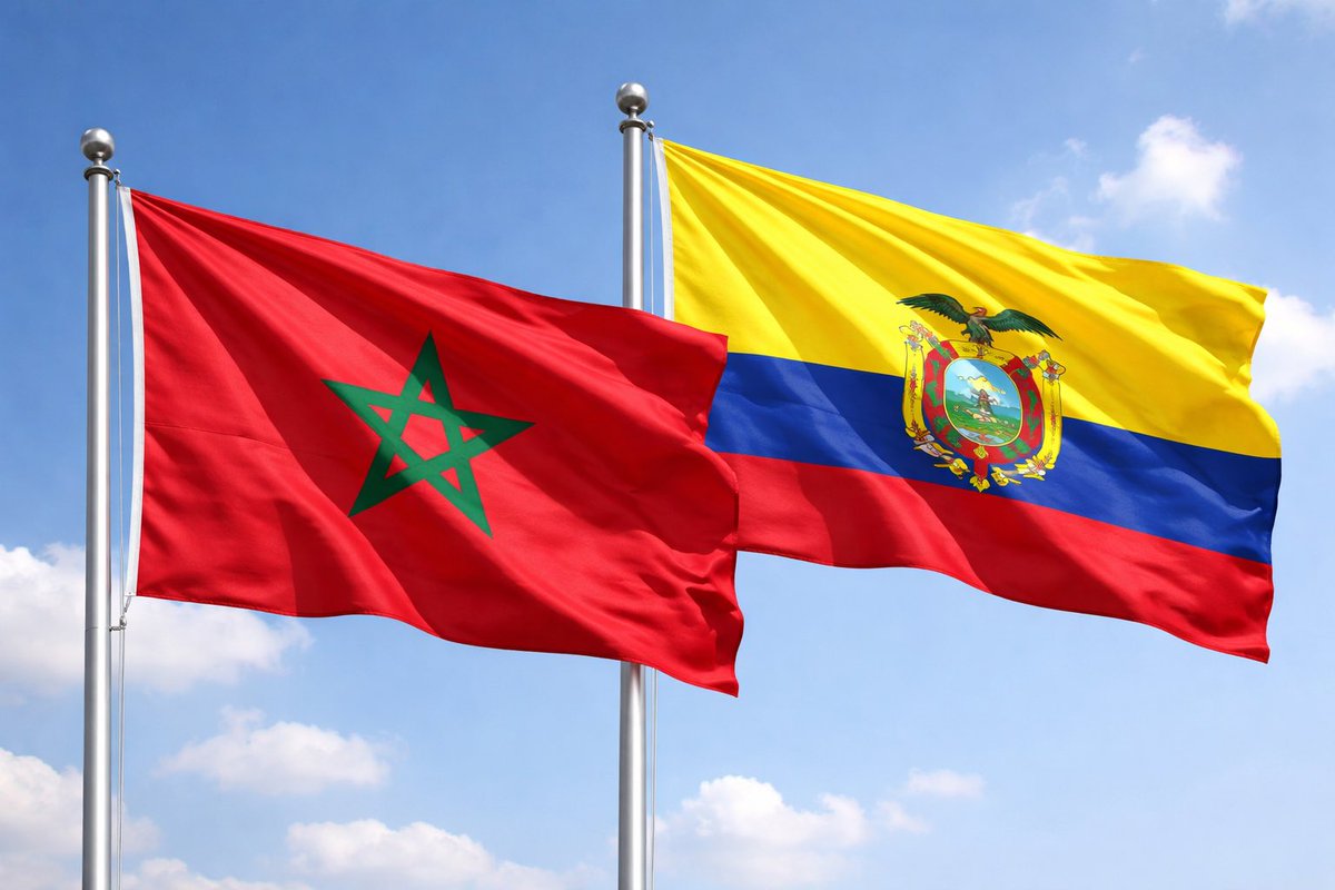 TFT MOROCCO tweet media