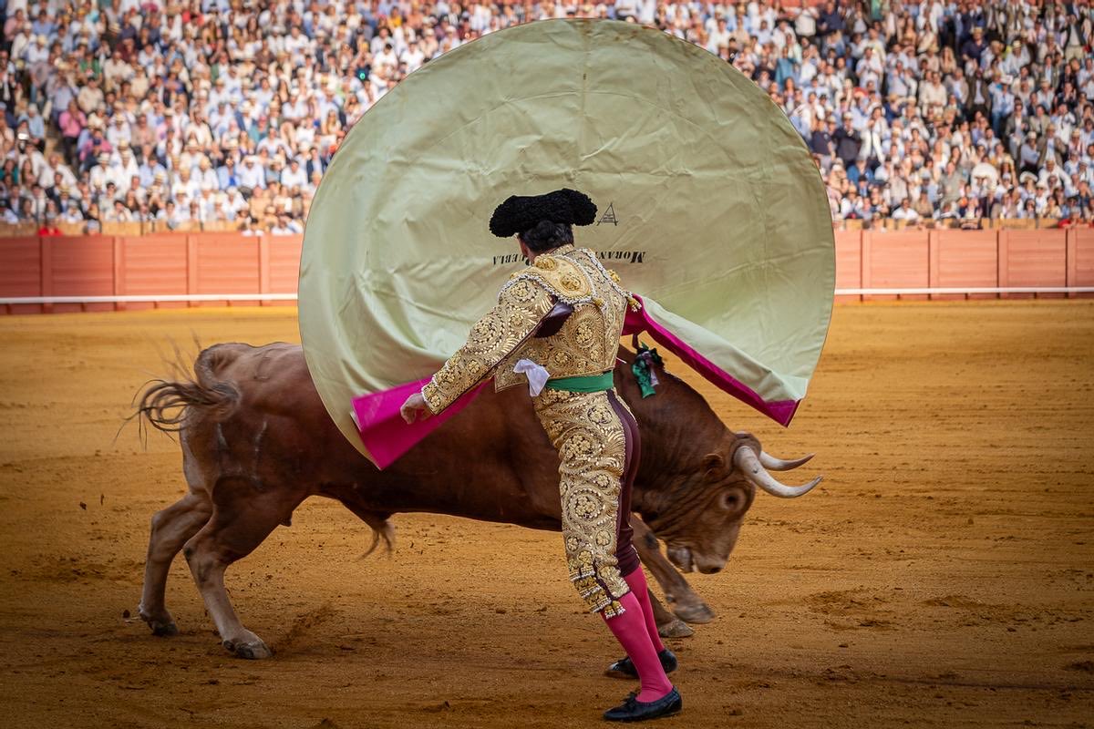 Javier Aizpún tweet media