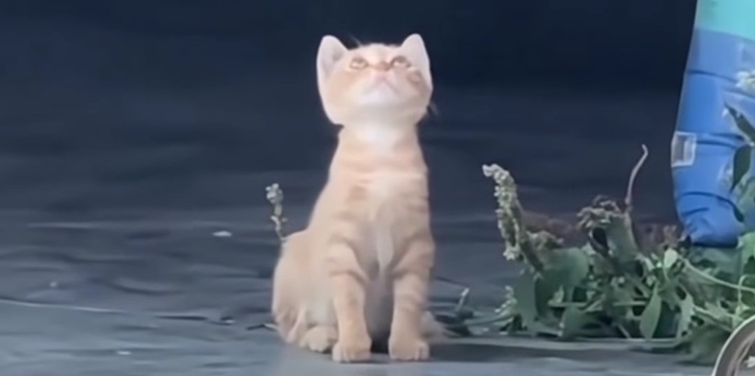 Ağlatır
beni 
dünya
ehlinin 
acımasızlığı;
Bu fâni
alem için
beklentiye
giren
kalbime de
kırgınım.