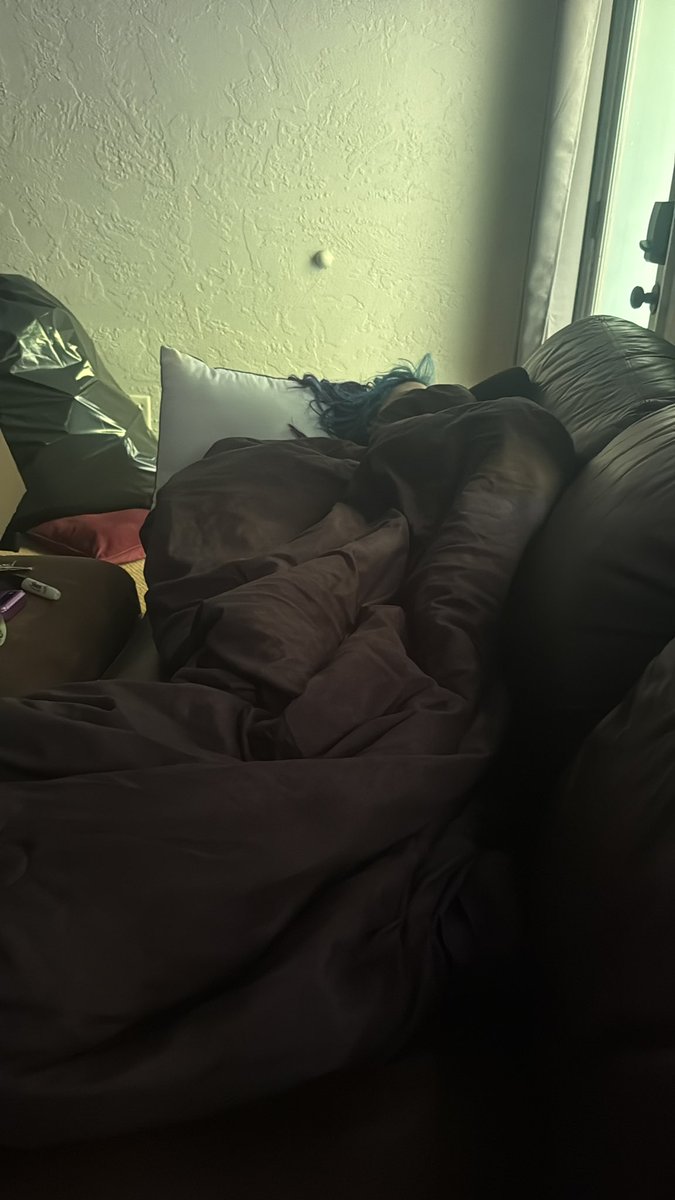 winnerdog tweet media