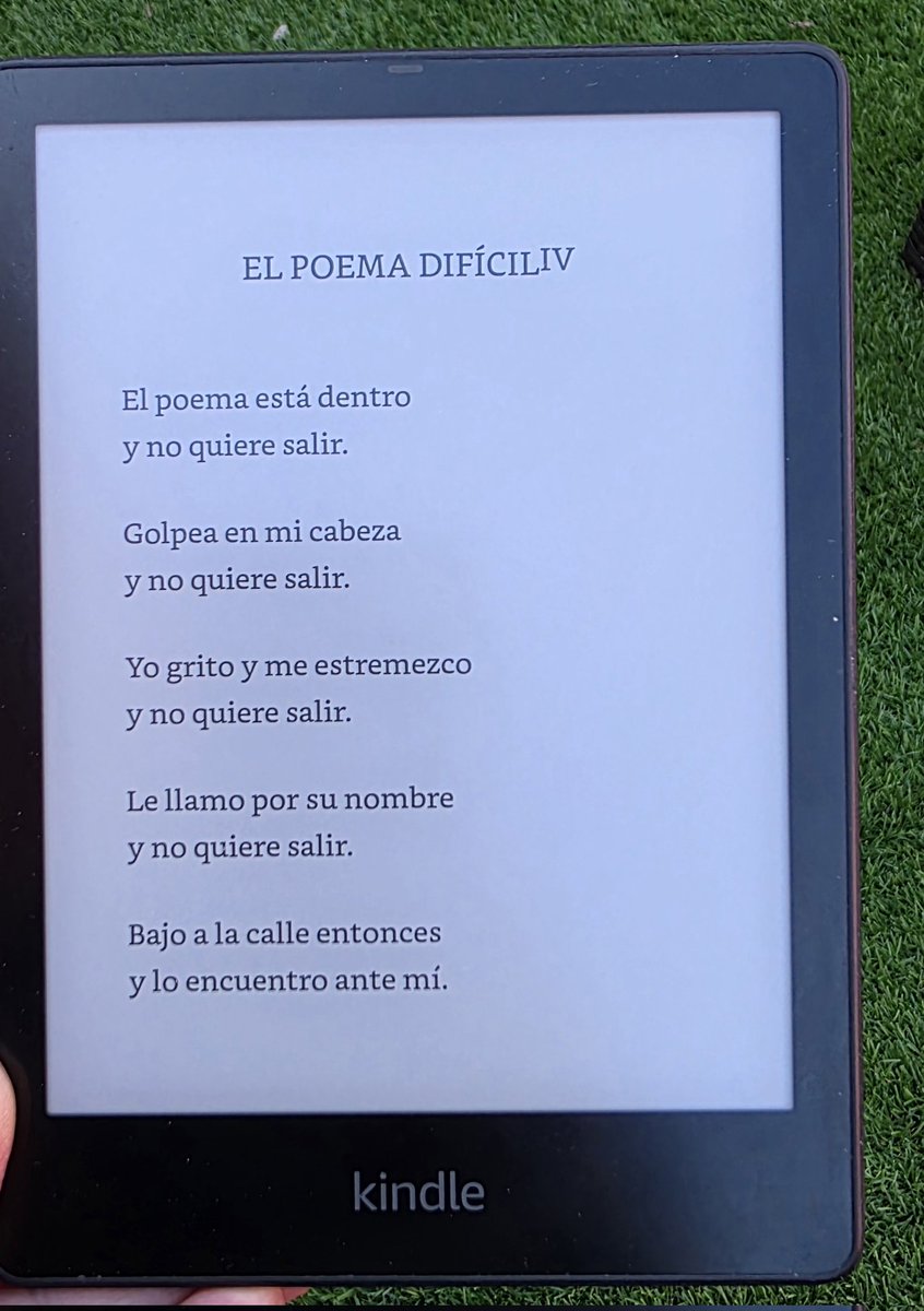 "Bajo a la calle entonces
y lo encuentro ante mí". 

José Agustín Goytisolo 
(1928 - 1999)
