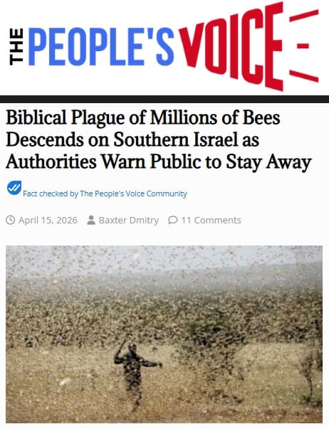 Peter Yonenagaの情報リテラシースクール札幌LS＆Atlasマンツーマン英会話 tweet media