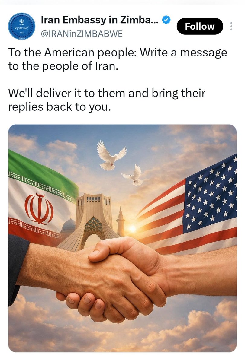 Amin Pouria ممد پوری tweet media