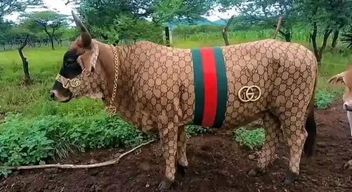 ZuluFactor76 tweet media