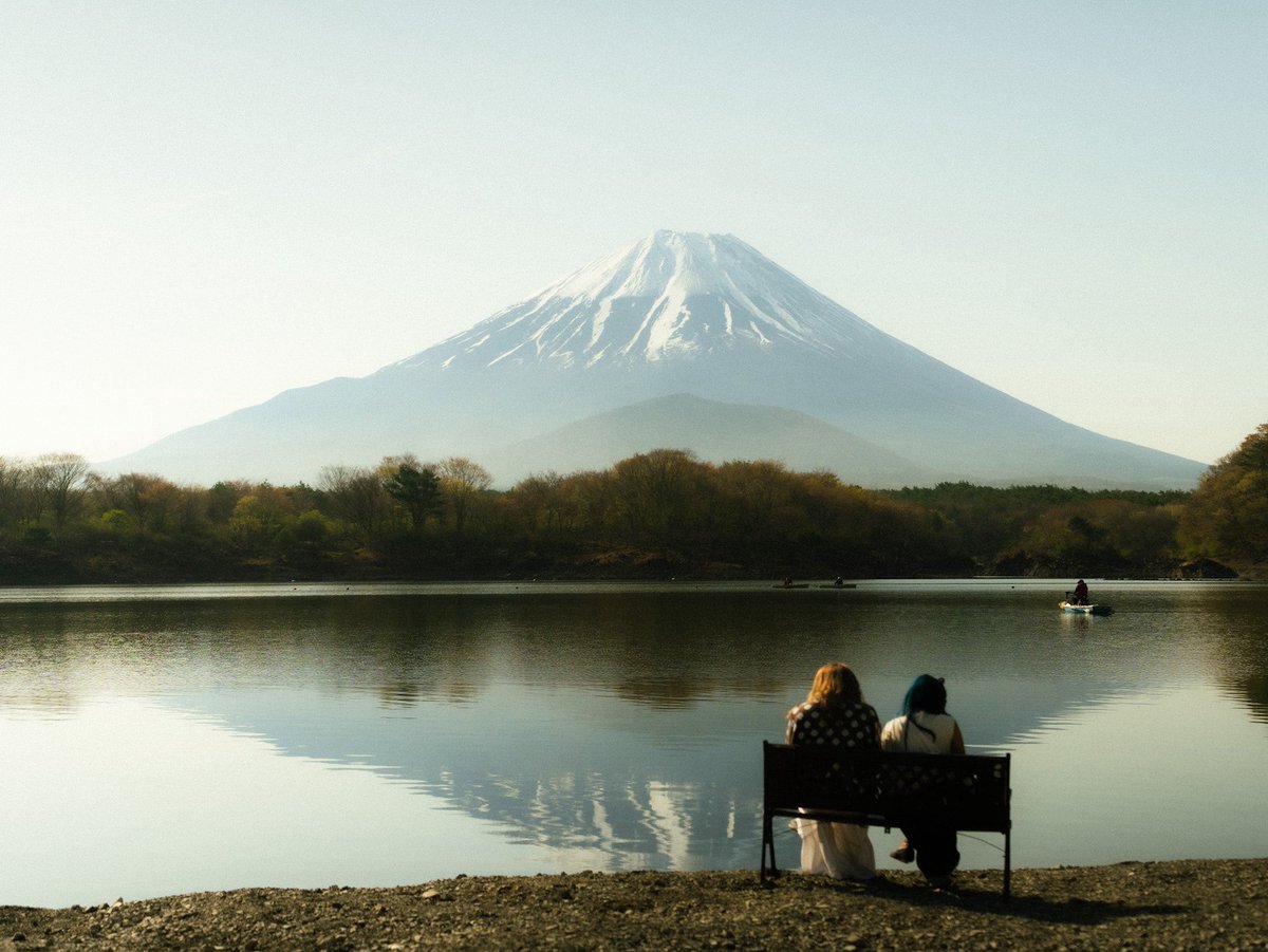 s🗡🎞️ tweet media