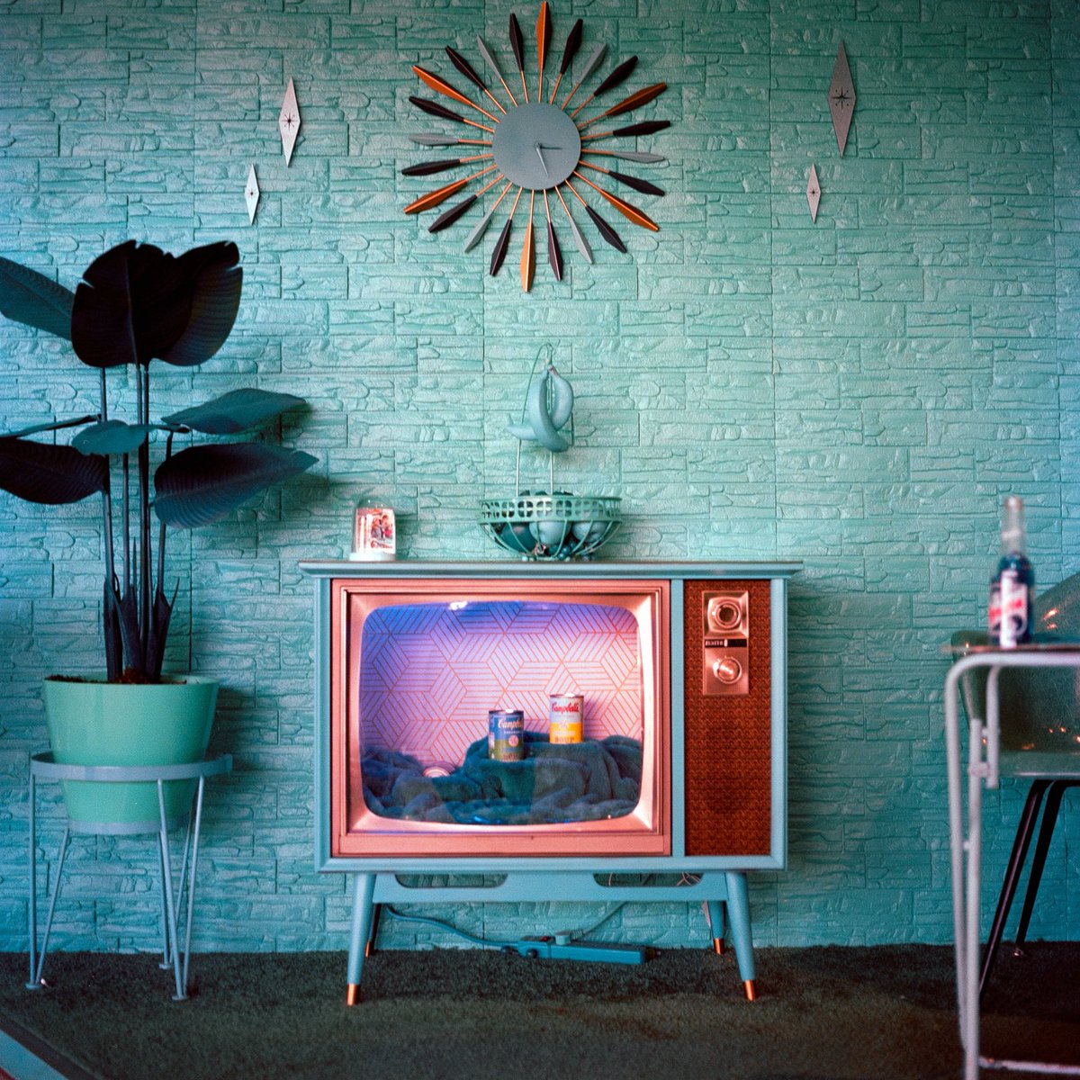 Nathan A. Bauman tweet media