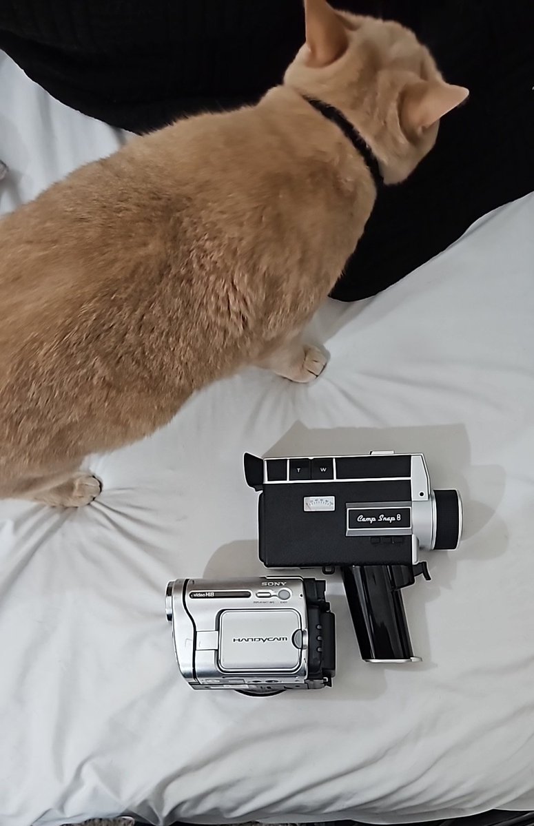 👾L0ki🦠 tweet media