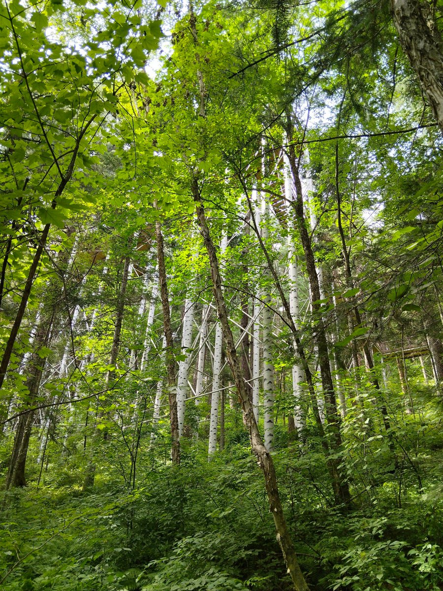 Donald Marinari tweet media