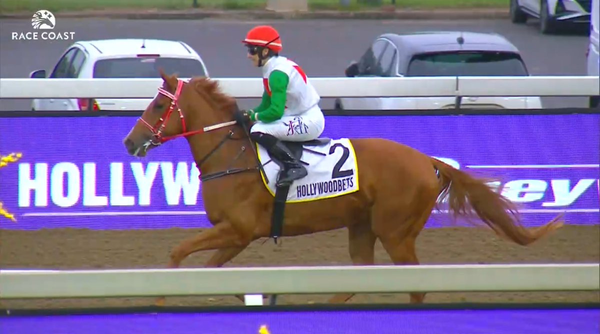 rebelsart's tweet image. 🇫🇷 Mickaëlle Michel🇯🇵@MickaelleMichel and A M C Labree racing in the Maiden Place race 2 on Friday night at Greyville, South Africa‼️🏇🇿🇦
Trainer Kumaran Naidoo
💥Fight!💥
#NeverGiveUp #WorkHard #MickaelleMichel
M.ミシェル #ミカエルミシェル
💪👊🌪️🥰
@FredericSpanu @noriri4