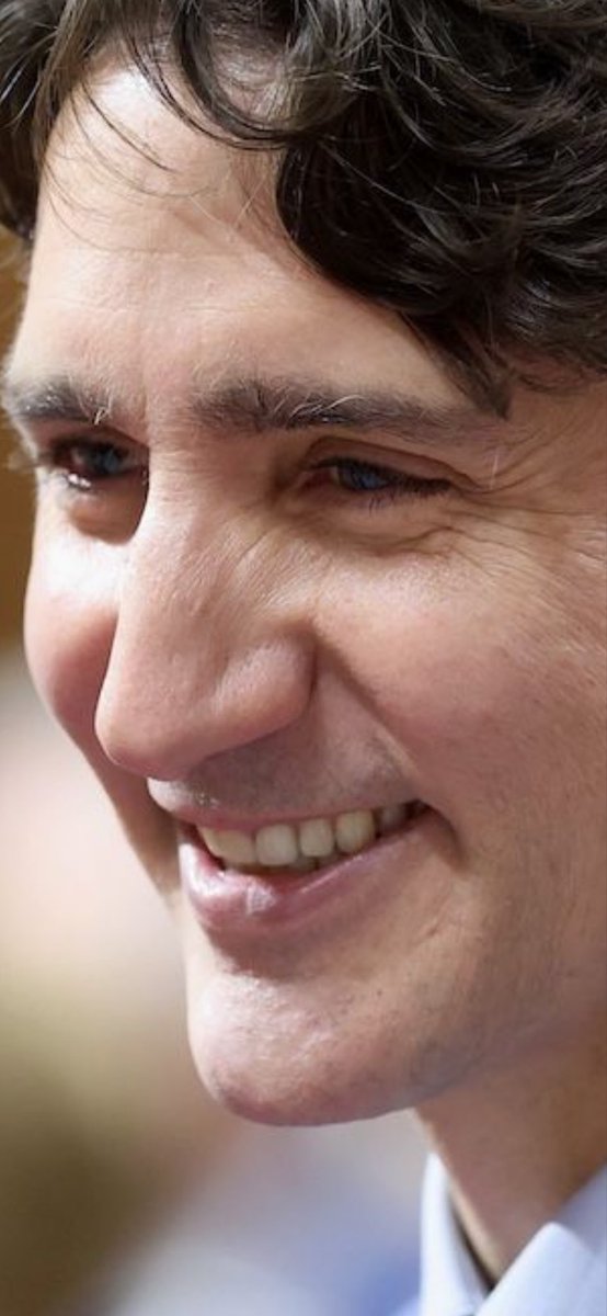 CriticalCritique tweet media