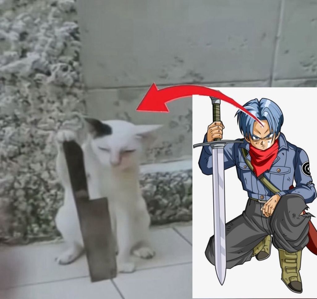 Dragon Ball Daily tweet media