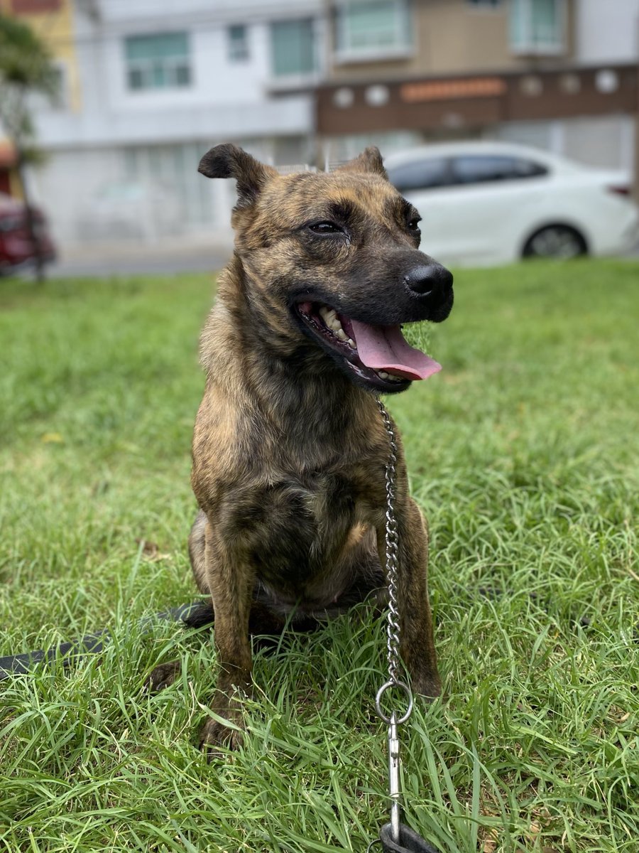 𝙷𝚎𝚕𝚊 𝙼𝚘𝚛𝚎 🐶 tweet media