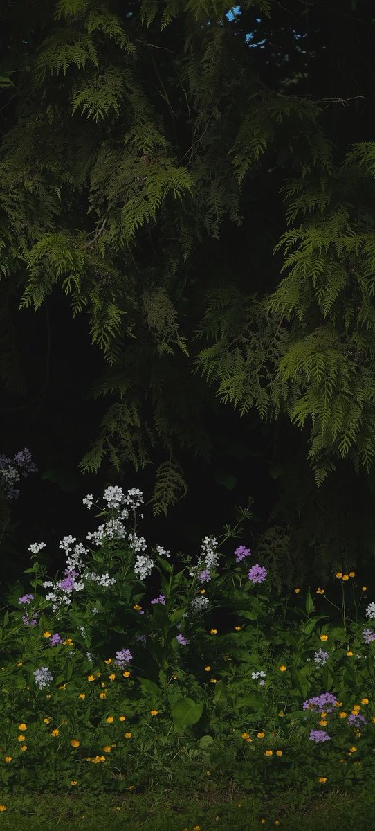 Willian: 77o dia 🇧🇷🇮🇹 tweet media