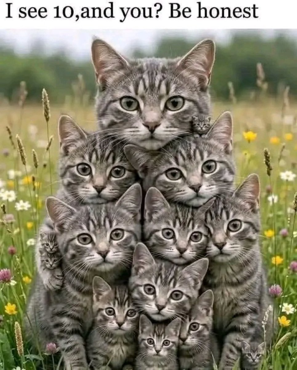 𝐌𝐚𝐭𝐭 𝐏𝐢𝐧𝐧𝐞𝐫 tweet media