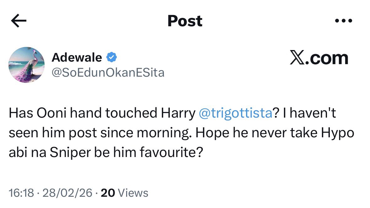 Harry Da Diegot tweet media