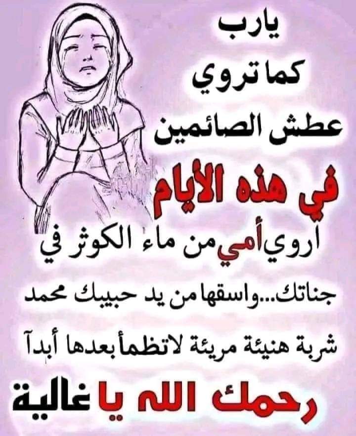 💘💘احلام💘💘 tweet media
