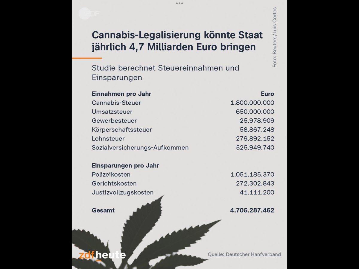 kasimir walach tweet media