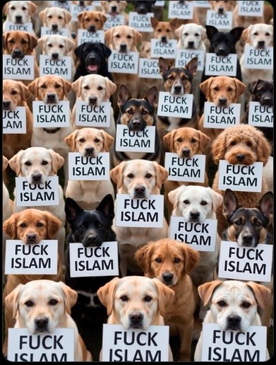 Michael Rocus tweet media