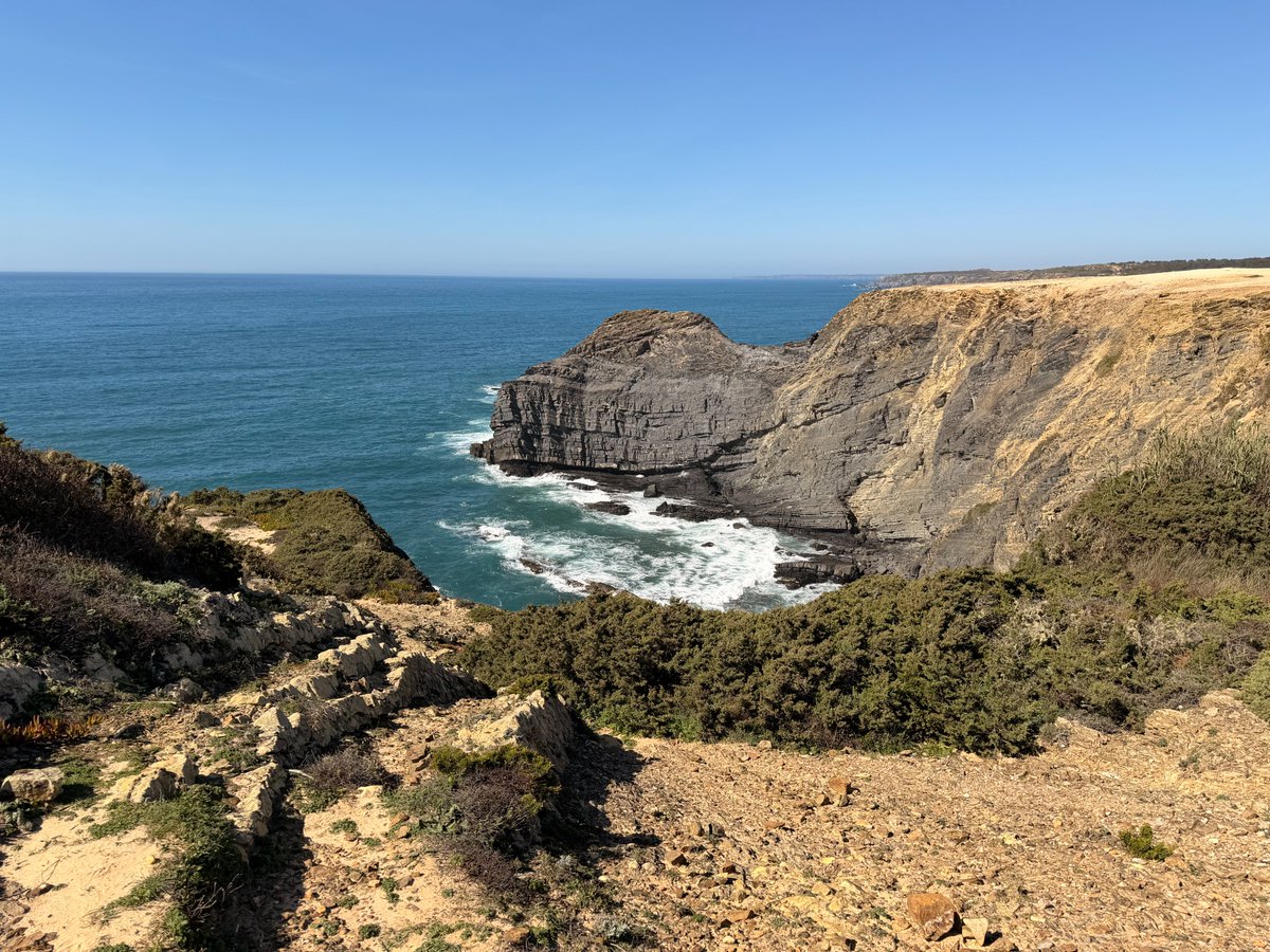 hellfish tweet media