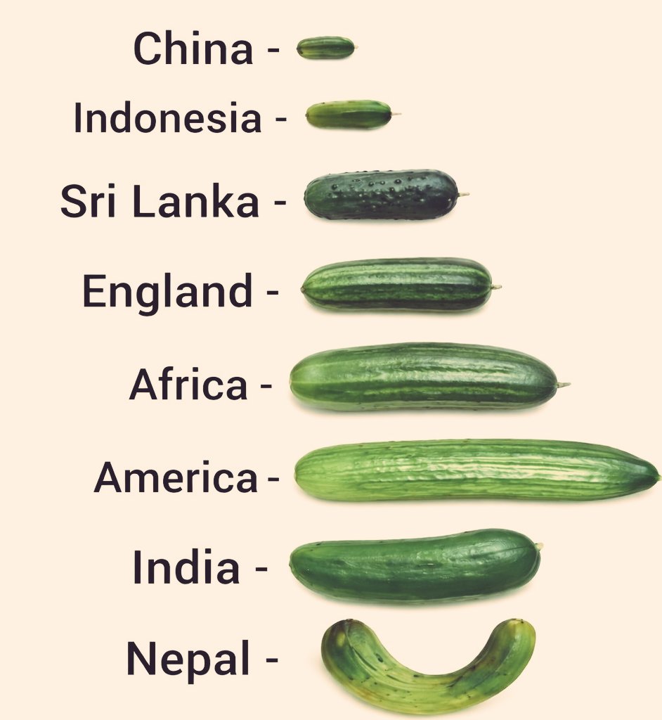 Priyanka Pandit tweet media