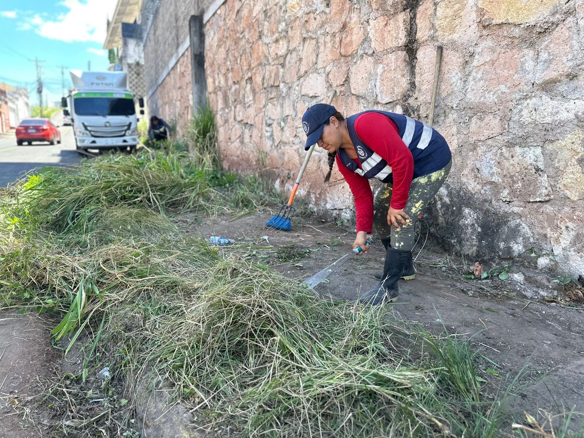 amdc_verde's tweet photo. Intervenimos Lomas del Guijarro con trabajos de corte de maleza, devolviendo orden y visibilidad a espacios que lo necesitaban estas áreas limpias son clave para evitar focos de contaminación y brindar mayor tranquilidad a la comunidad. https://t.co/xEqlgBpsEm