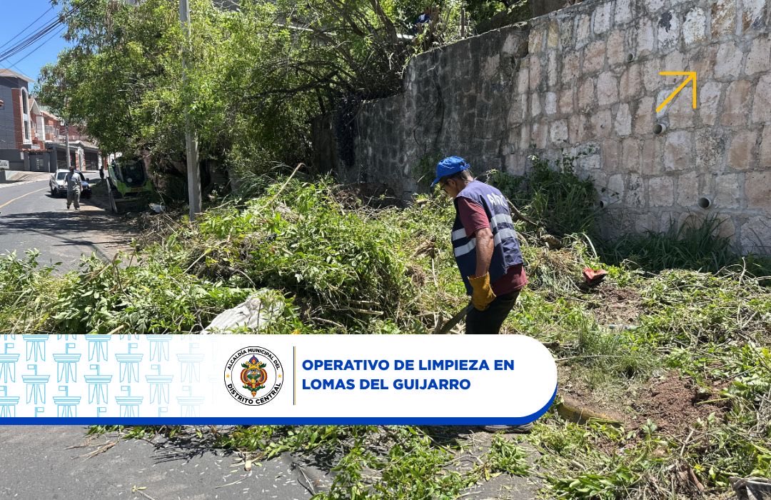 amdc_verde's tweet photo. Intervenimos Lomas del Guijarro con trabajos de corte de maleza, devolviendo orden y visibilidad a espacios que lo necesitaban estas áreas limpias son clave para evitar focos de contaminación y brindar mayor tranquilidad a la comunidad. https://t.co/xEqlgBpsEm