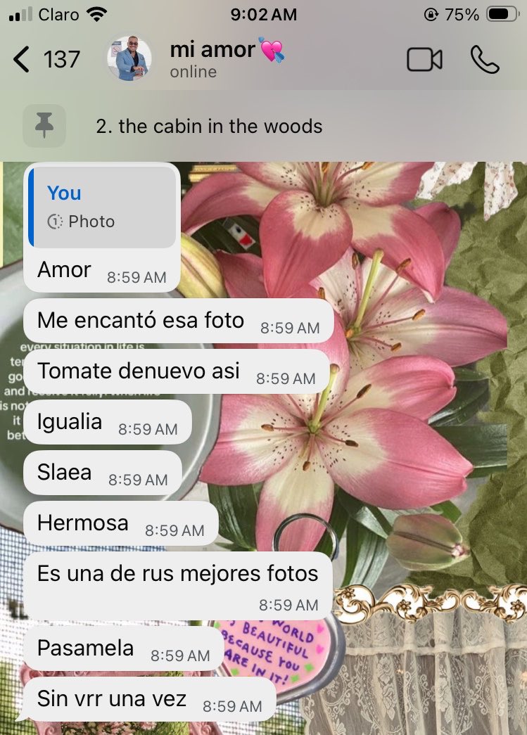 literalmente le mandé la foto más mid posible
