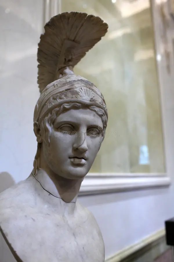 ❣️ MEOW ‼️🗝️ tweet media