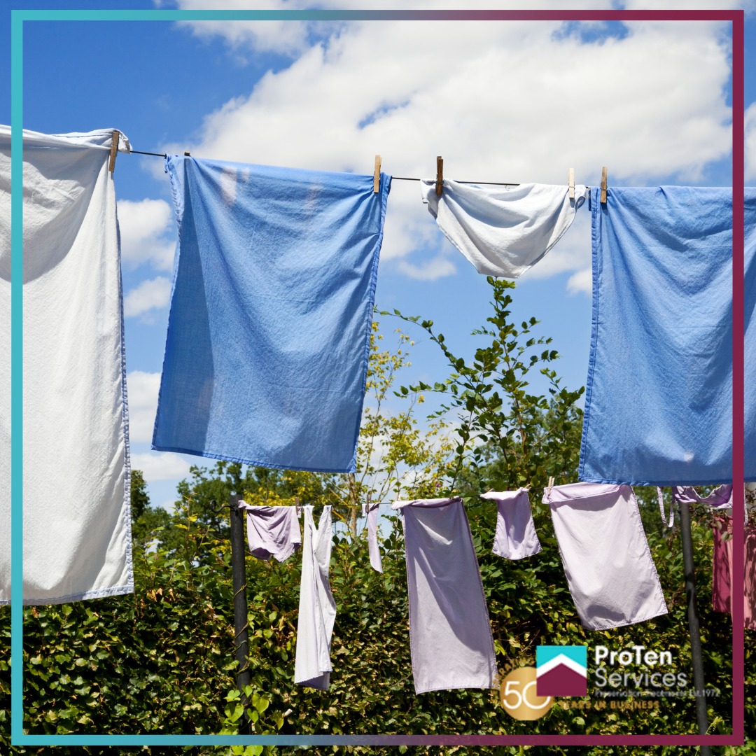 ProTen Services tweet media